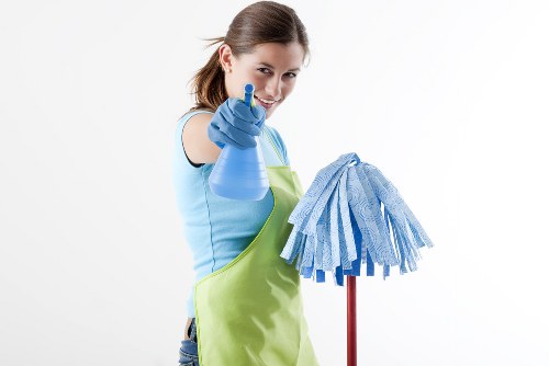 Professional house cleaning in N4 for a tidy living room