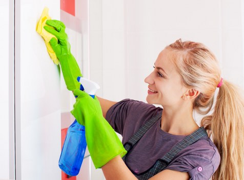 Carpet cleaning service introduction for N4