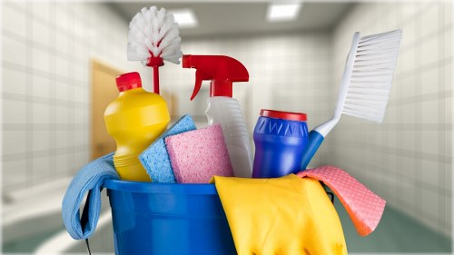 Professional cleaners in N4 providing home cleaning services