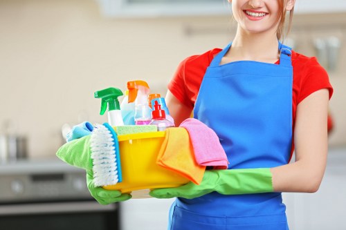Professional sofa cleaning in N4 for a fresh living room sofa