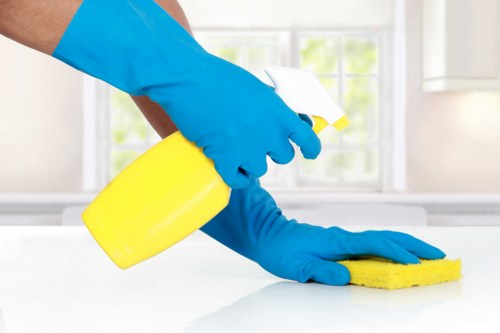 Professional carpet cleaner in N4 deep cleaning a living room carpet