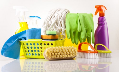 Professional home cleaners in N4 cleaning a modern living room