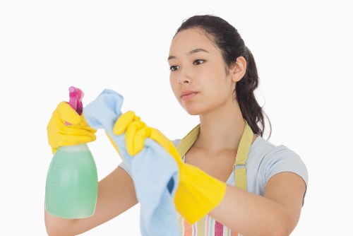 Regular domestic cleaning in N4 for a bright, organized home