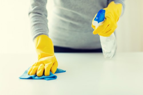 Office cleaning team maintaining a workspace in N4