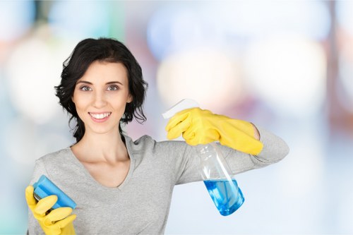 Professional cleaner in N4 providing home cleaning support