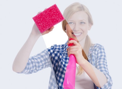 Rug and upholstery cleaning alongside carpets