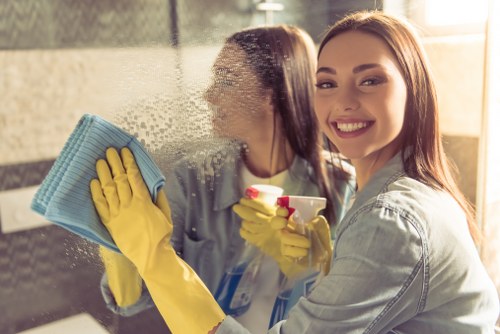 Inclusive web access for Carpetcleaning N4 visitors