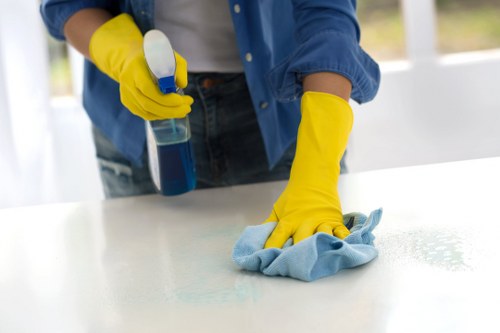 Final deep clean after building work in an N4 home